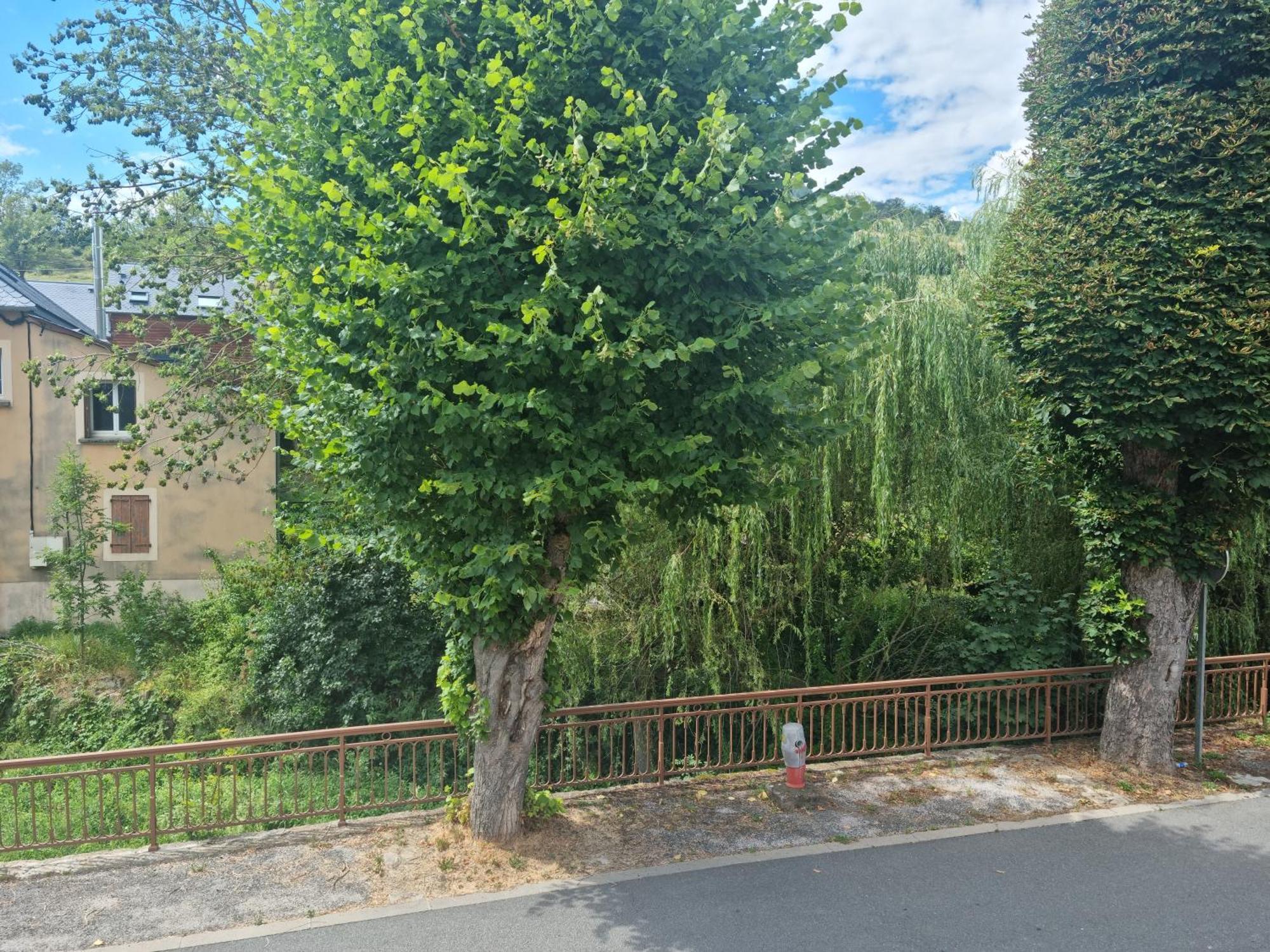Au Pont De La Gineze Bed & Breakfast Barjac  Bagian luar foto